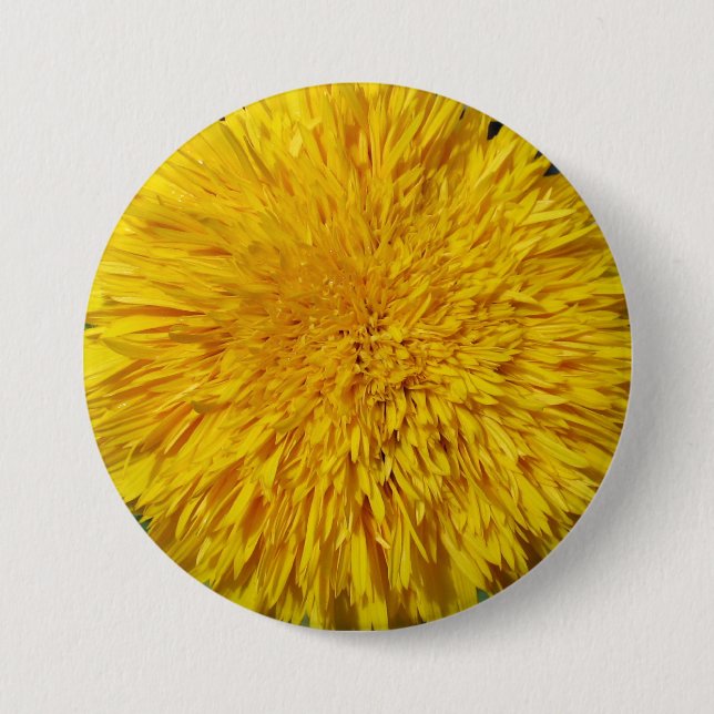 Badge Rond 7,6 Cm Tournesol d'ours de nounours (Devant)
