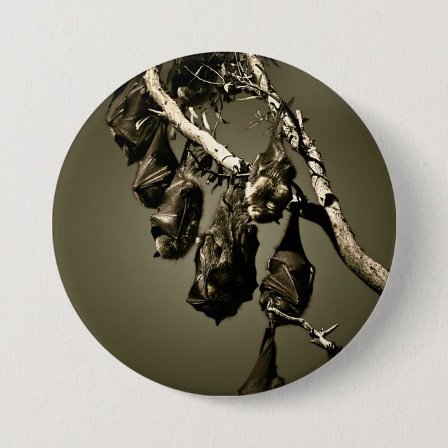 Badge Rond 7,6 Cm Voler des renards (Devant)