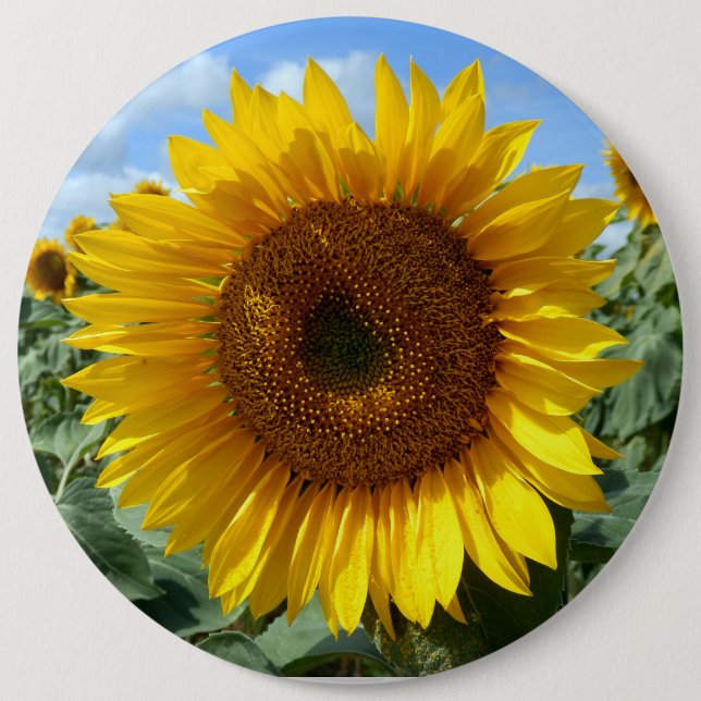 Badge rond colossal de tournesol (Devant)