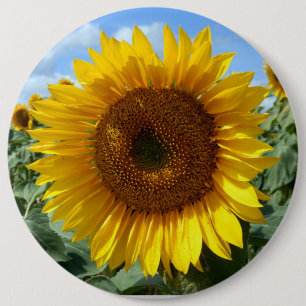 Badge rond colossal de tournesol