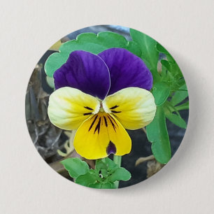 Badge rond Pansy Violet et Jaune