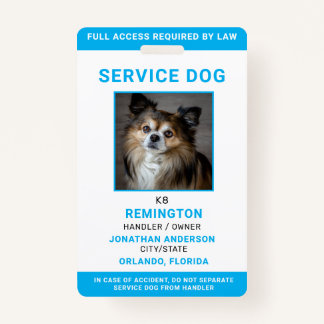 Badge Rouge moderne Bleu Simple Service Chien Photo ID B