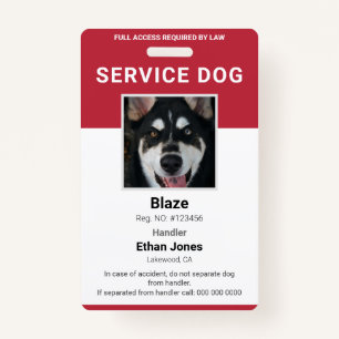 Badge Service Chien photo rouge