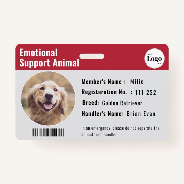 Badge Thérapie ID animal photo Code-barres gris rouge (Devant)