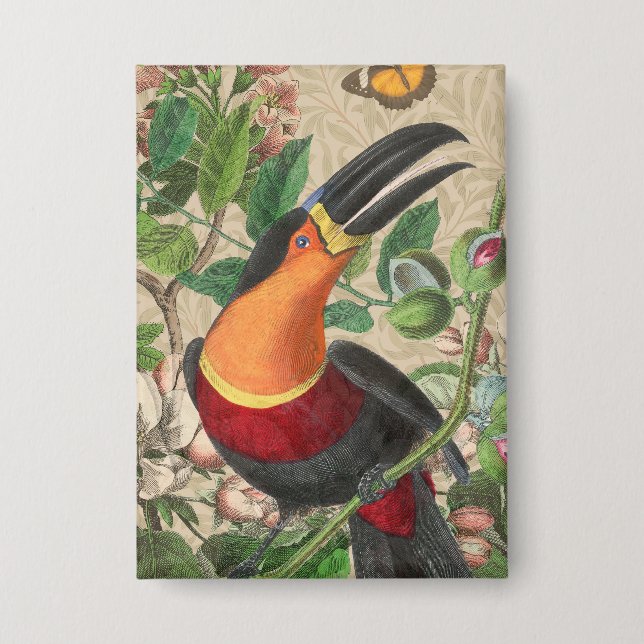 Badge Toucan Jungle Tropical Bird Belle antique (Recto)