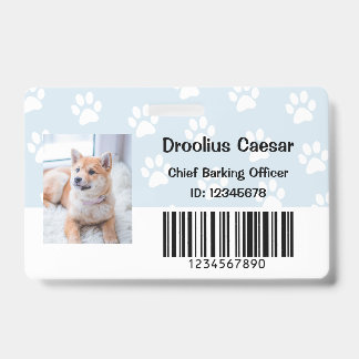 Badge Vétérinaire Soins Animaux de Compagnie Photo Perso