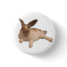 Badge Zesty Paddy