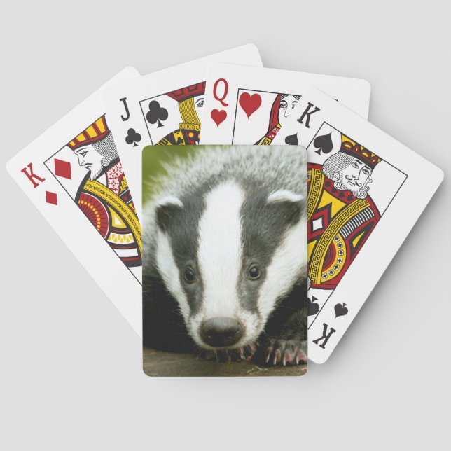 Badger - Atemberaubend pro Foto! Spielkarten (Rückseite)