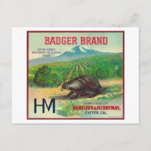 Badger Orange LabelExeter, CA Postkarte