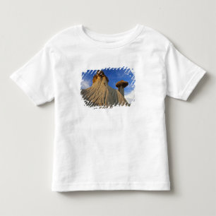 Badlands-Formationen im Makoshika State Park in Kleinkind T-shirt