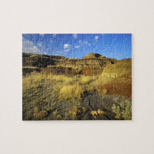 Badlands im Dinosaur Provincial Park in Alberta,