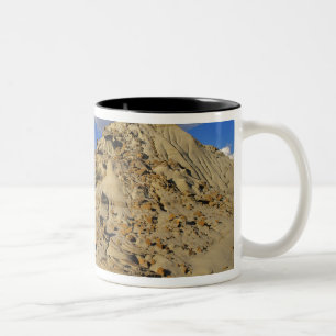 Badlands im Dinosaur Provincial Park in Alberta, 3 Zweifarbige Tasse