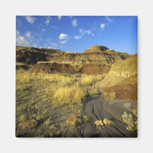 Badlands im Dinosaur Provincial Park in Alberta, Magnet