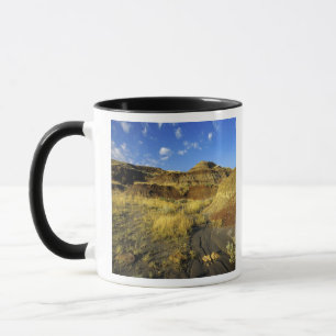 Badlands im Dinosaur Provincial Park in Alberta, Tasse