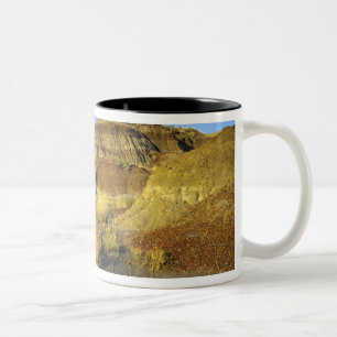 Badlands im Provinzialpark Dinosaur in Alberta, Zweifarbige Tasse