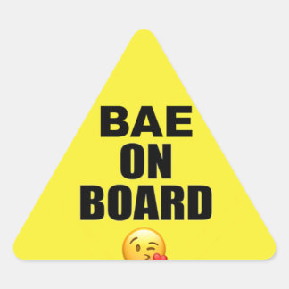 Bae on Board Sticker (Parody on Baby on Board)