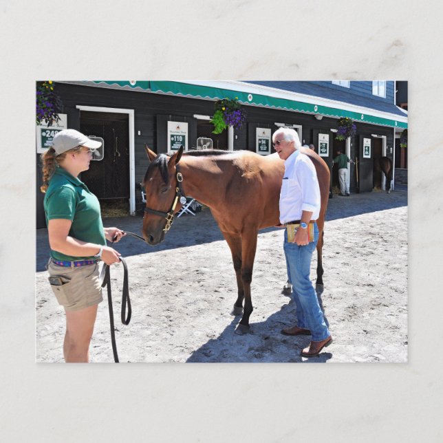 Baffert Checking under the Hood Postkarte (Vorderseite)