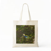 Tote Pale Headed Rosella