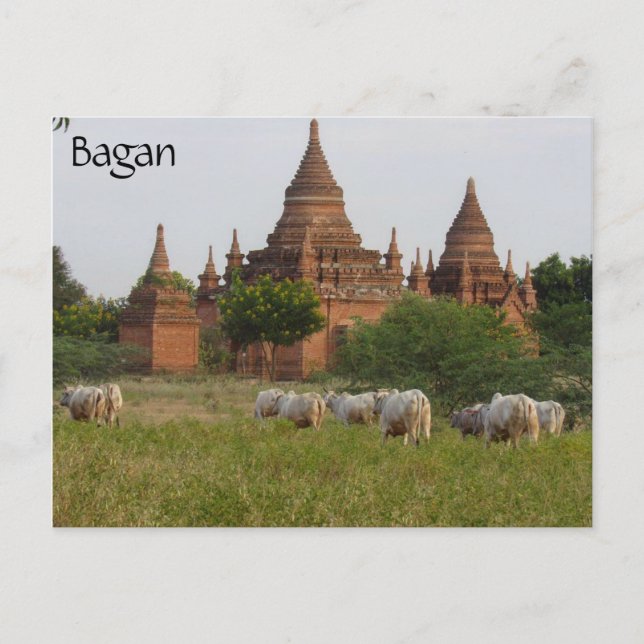 Bagan Postkarte (Vorderseite)