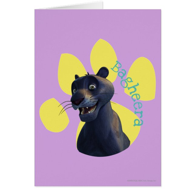 Bagheera 1 (Vorne)