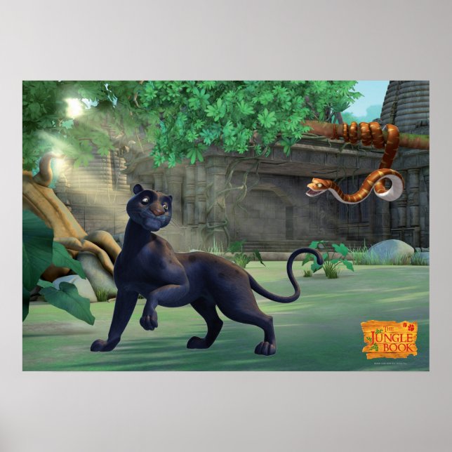 Bagheera 3 2 poster (Vorne)