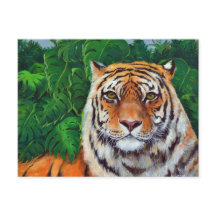 Bagheera, die Tiger-Postkarte des Malens