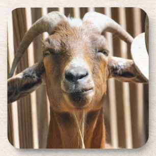 Bah Getränkeuntersetzer