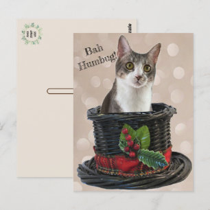 Bah Humbag Tito Die Katze Postkarte