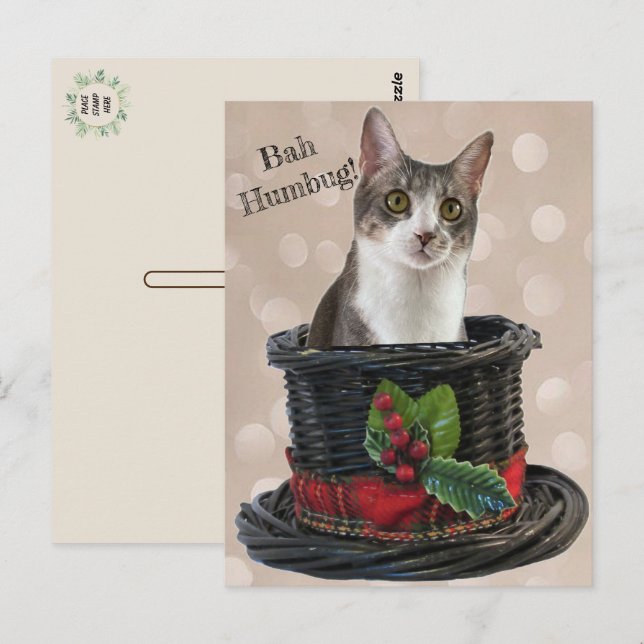 Bah Humbag Tito La Carte Postale Du Chat (Devant / Derrière)