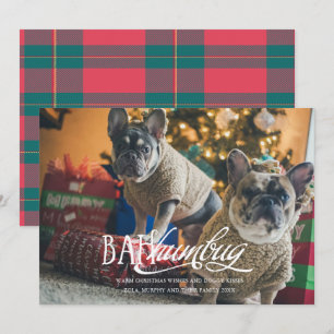 Bah-Humbug-Albernes-Haustier-Foto-Weihnachtskarte Einladung