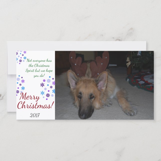 Bah Humbug Carte de Noël Allemand Berger drôle (Devant)