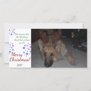 Bah Humbug Carte de Noël Allemand Berger drôle