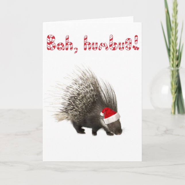 Bah, humbug ! Carte Porcupine (Devant)