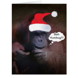 BAH HUMBUG!! CHRISTMAS CARD