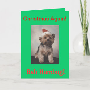 Bah Humbug Doggie Tshirt Feiertagskarte