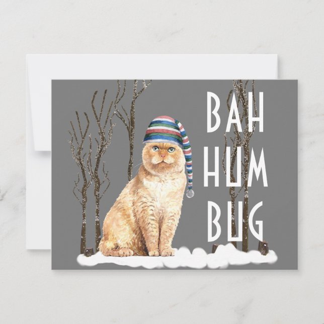 Bah Humbug Funny Cat Christmas Postcard Karte (Vorderseite)