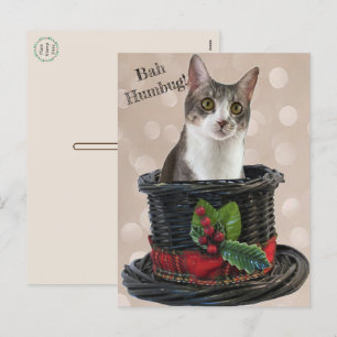 Bah Humbug Tito Die Katze Postkarte