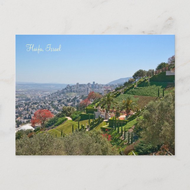 Bahá'í Gardens of Haifa, Israel Postkarte (Vorderseite)