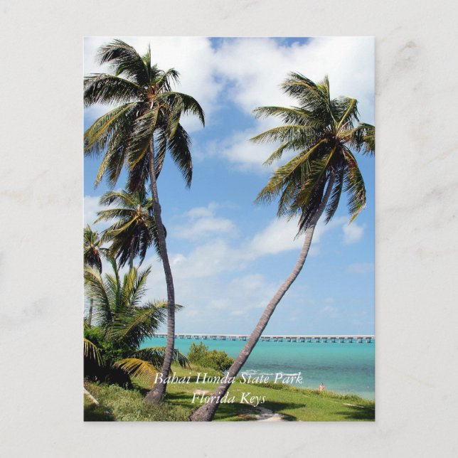 Bahai Honda Staat Park, Florida Keys Postkarte (Vorderseite)