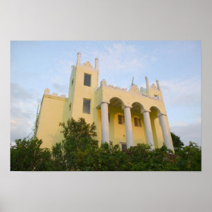 BAHAMAS, Abacos, Great Abaco Island, Sumpf Poster