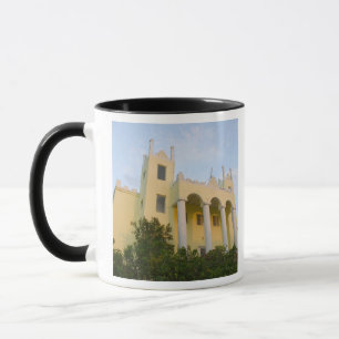 BAHAMAS, Abacos, Great Abaco Island, Sumpf Tasse