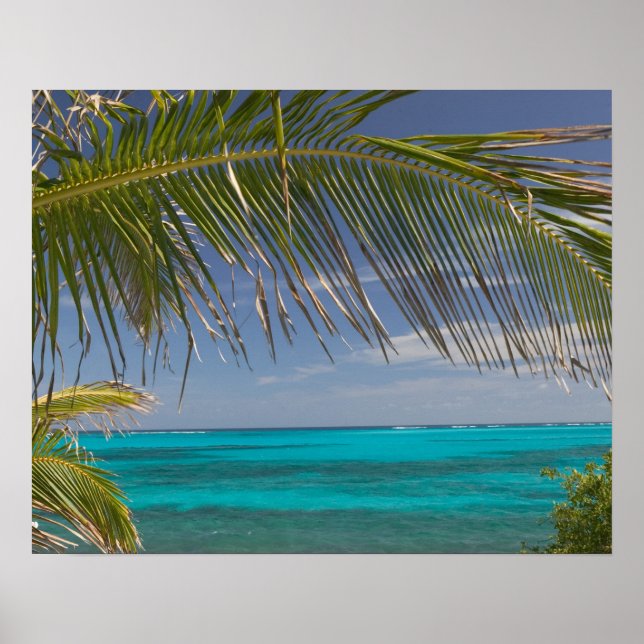 BAHAMAS, Abacos, Loyalist Cays, Man O'War Cay: Poster (Vorne)