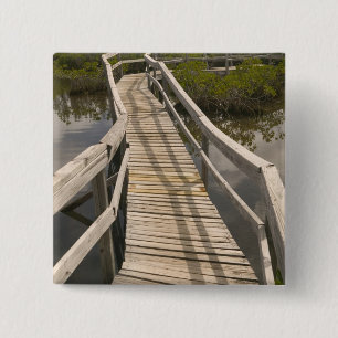 BAHAMAS, Grand Bahama Island, Ostseite: Button