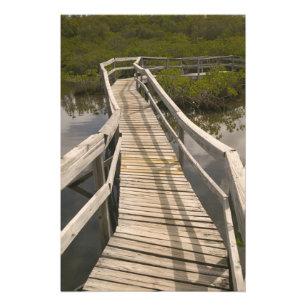 BAHAMAS, Grand Bahama Island, Ostseite: Fotodruck