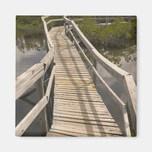 BAHAMAS, Grand Bahama Island, Ostseite: Magnet