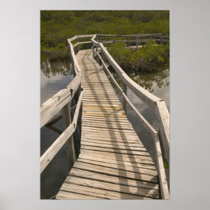 BAHAMAS, Grand Bahama Island, Ostseite: Poster