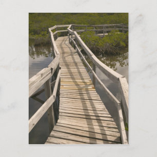 BAHAMAS, Grand Bahama Island, Ostseite: Postkarte