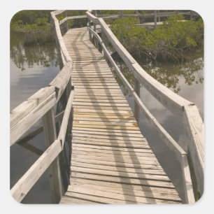BAHAMAS, Grand Bahama Island, Ostseite: Quadratischer Aufkleber