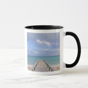 BAHAMAS, Grand Bahama Island, Ostseite: Tasse