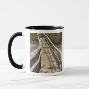 BAHAMAS, Grand Bahama Island, Ostseite: Tasse